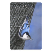 Weißreißer Nuthatch Malerei Original Vogelkunst Mini Klemmbrett (Rückseite)