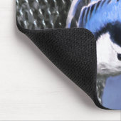 Weißreißer Nuthatch Malerei Original Vogelkunst Mousepad (Ecke)