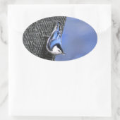 Weißreißer Nuthatch Malerei Original Vogelkunst Ovaler Aufkleber (Tasche)