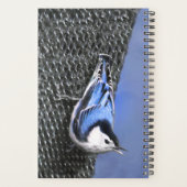 Weißreißer Nuthatch Malerei Original Vogelkunst Planer (Rückseite)