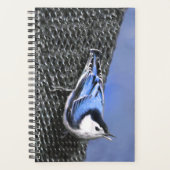 Weißreißer Nuthatch Malerei Original Vogelkunst Planer (Vorderseite)