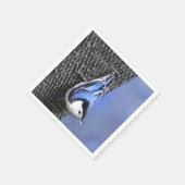 Weißreißer Nuthatch Malerei Original Vogelkunst Serviette (Ecke)