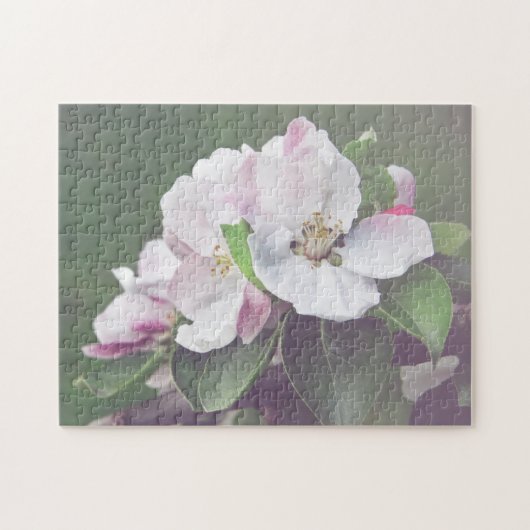 Weißrosa Blossom blühender Apfelbaum Puzzle (Horizontal)