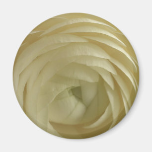 Weißrosa-Brussel personalisieren Jahrestage Magnet