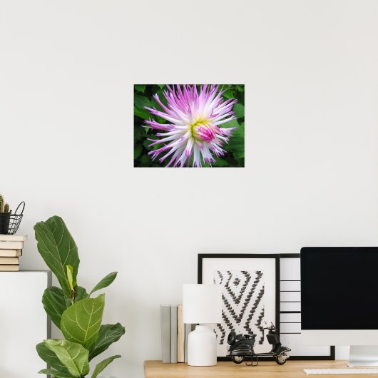 Weißrosa Dahlie - Poster (Heimbüro)