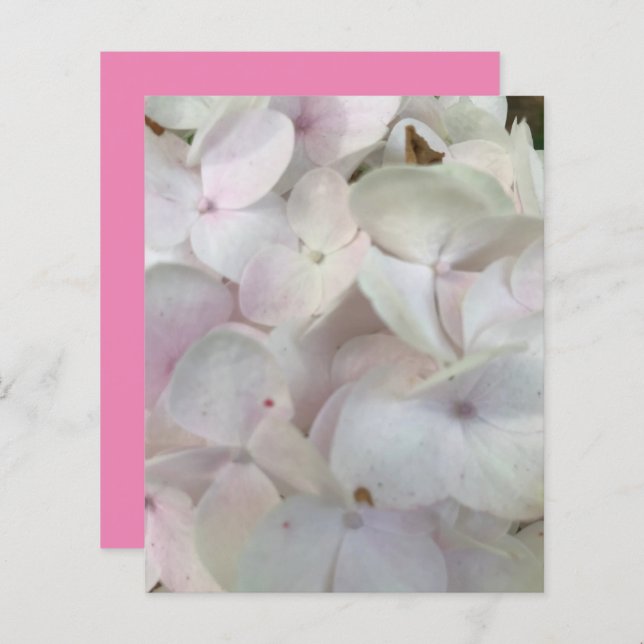 Weißrosa Hydrangea Blüten Scrapbook Paper (Vorne/Hinten)