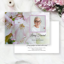 Weißrosa Krabbenapfel Blume Leben Beerdigung Party