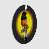 Weißrumped Shama Bird Ornament (Vorderseite)