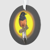 Weißrumped Shama Bird Ornament (Vorderseite)
