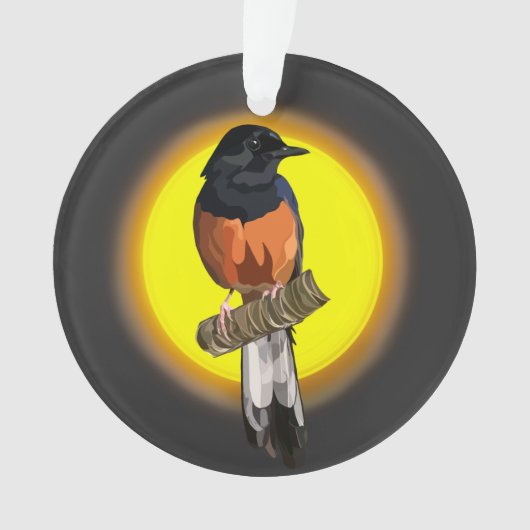 Weißrumped Shama Bird Ornament (Vorderseite)