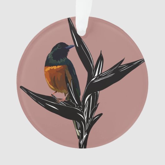 Weißrumped Shama Vogel Akrylus Ornament (Vorderseite)