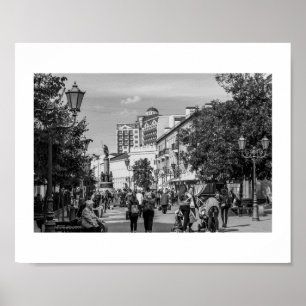 Weißrussland Б л а е с р у ь  Poster