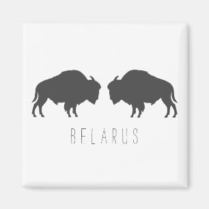 Weißrussland Belarussischer Bison Зубр Беларусь Re Magnet