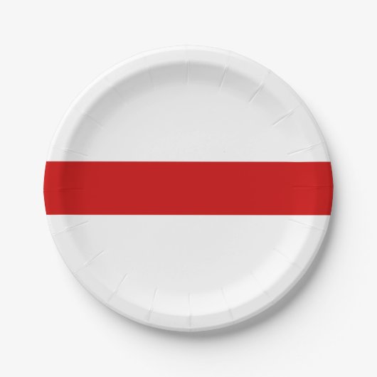 Weißrussland-Flagge (rot und weiß) Pappteller (Vorderseite)