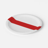 Weißrussland-Flagge (rot und weiß) Pappteller (Schrägansicht)