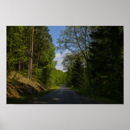 Weißrussland Forest Rural Road Sky Landschaft Natu Poster