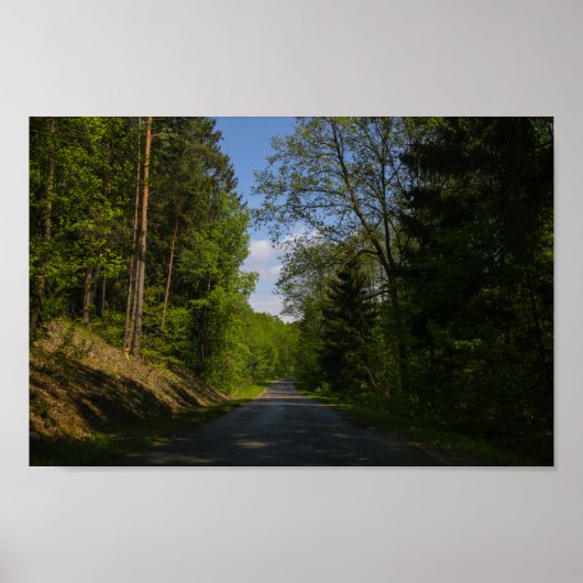 Weißrussland Forest Rural Road Sky Landschaft Natu Poster (Vorne)