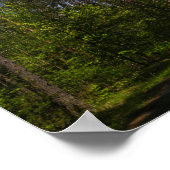 Weißrussland Forest Rural Road Sky Landschaft Natu Poster (Ecke)