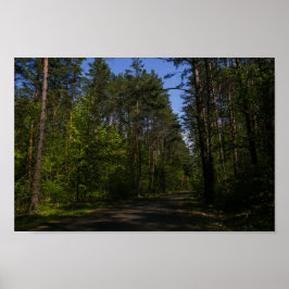Weißrussland Forest Rural Road Sky Landschaft Natu Poster