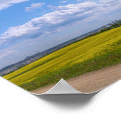 Weißrussland Grodno Canola Fields Blume Poster (Ecke)
