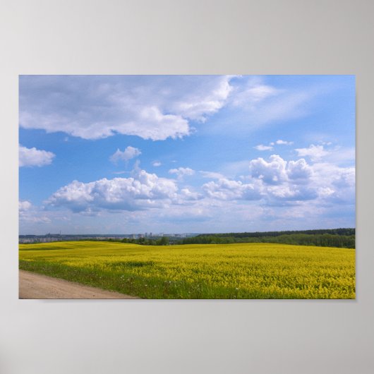 Weißrussland Grodno Canola Fields Blume Poster (Vorne)