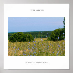 Weißrussland Landschaft Landschaft Landschaft Land Poster