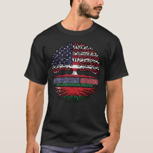 Weißrussland USA USA USA USA Staaten T-Shirt