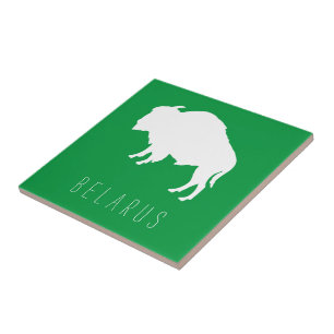 Weißrusslands Bison З б р е л у Б а р у с Fliese