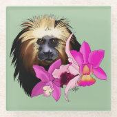 Weissschopf-Löwenäffchen-Affe Glasuntersetzer (Vorderseite)
