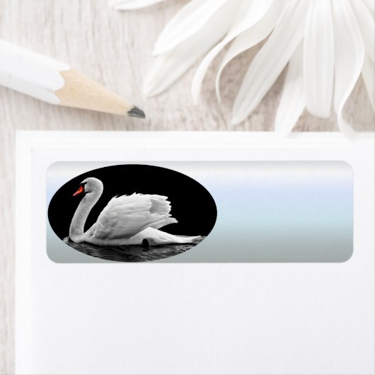 Weißschwan am See (Insitu)