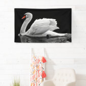Weißschwan am See Banner (Insitu)