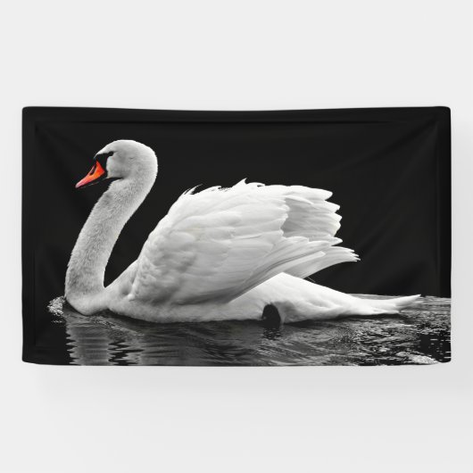 Weißschwan am See Banner (Horizontal)