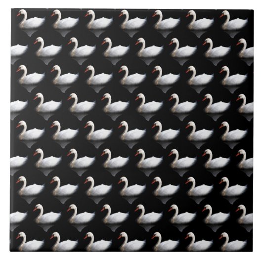 Weißschwan auf schwarz fliese (Vorderseite)