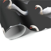 Weißschwan auf schwarz geschenkpapier (Rolleneckpunkt)