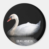 Weißschwan auf schwarz magnet (Vorne)