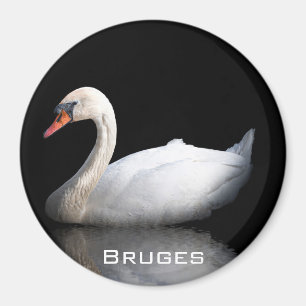 Weißschwan auf schwarz magnet