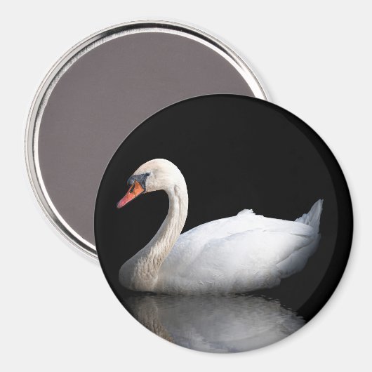 Weißschwan auf schwarz magnet (Vorderseite/Rückseite)