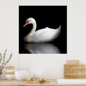 Weißschwan auf schwarz poster (Küche)