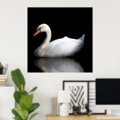 Weißschwan auf schwarz poster (Heimbüro)