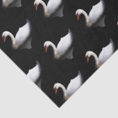 Weißschwan auf schwarz seidenpapier (Detail)