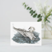 Weißschwan auf Wasser Postkarte (Stehend Vorderseite)