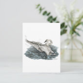Weißschwan auf Wasser Postkarte (Stehend Vorderseite)