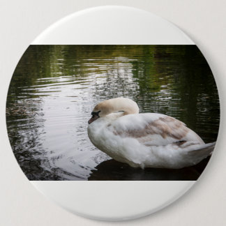 Weißschwan Button