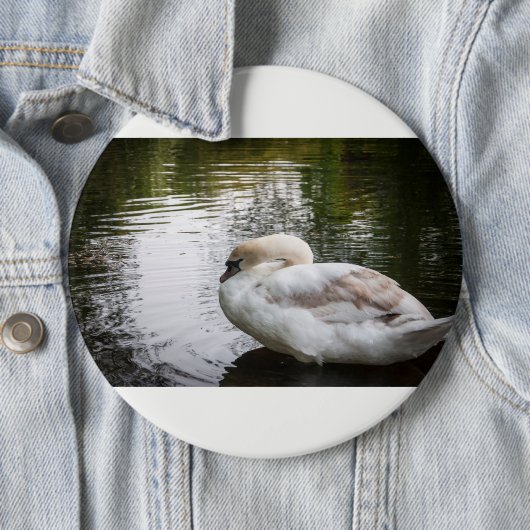 Weißschwan Button (Beispiel)