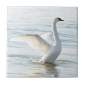 Weißschwan Cygnus Fliese (Vorderseite)