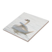 Weißschwan Cygnus Fliese (Seite)