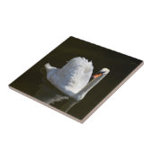 Weißschwan Fliese (Seite)