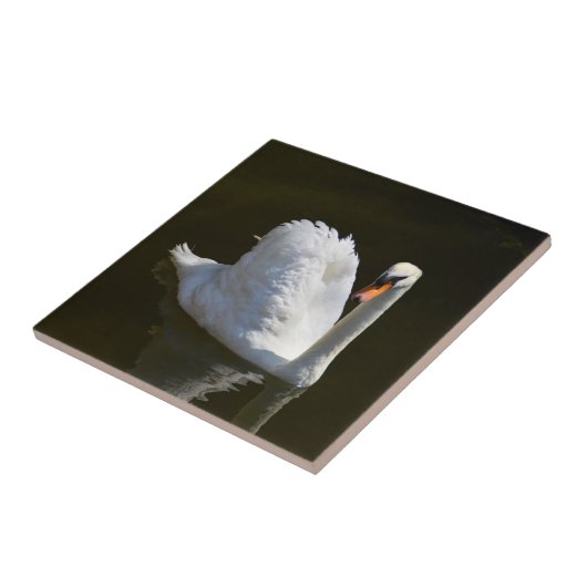 Weißschwan Fliese (Seite)