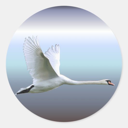 Weißschwan im vollen Flug Runder Aufkleber (Vorderseite)