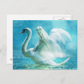 Weißschwan in Regen Postkarte (Vorne/Hinten)